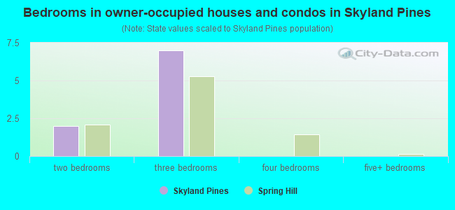Bedrooms in owner-occupied houses and condos in Skyland Pines
