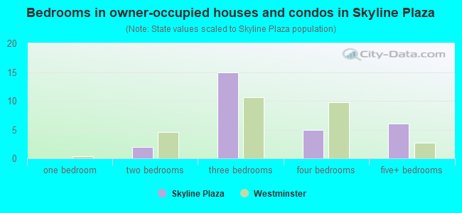 Bedrooms in owner-occupied houses and condos in Skyline Plaza