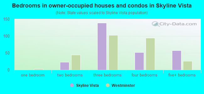 Bedrooms in owner-occupied houses and condos in Skyline Vista