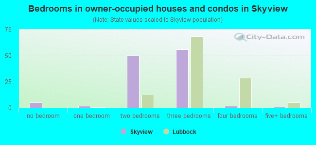Bedrooms in owner-occupied houses and condos in Skyview