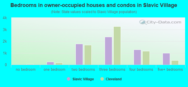 Bedrooms in owner-occupied houses and condos in Slavic Village