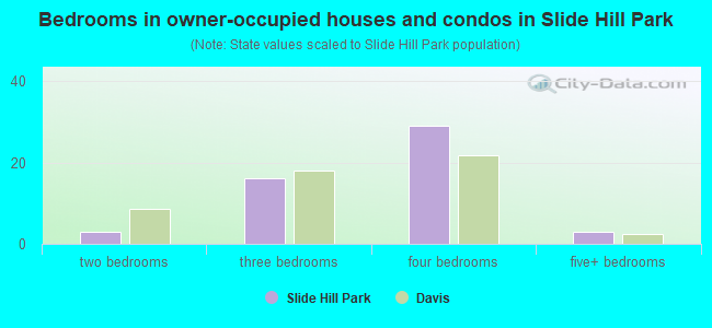 Bedrooms in owner-occupied houses and condos in Slide Hill Park