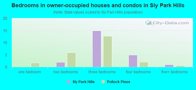 Bedrooms in owner-occupied houses and condos in Sly Park Hills