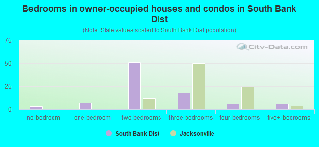 Bedrooms in owner-occupied houses and condos in South Bank Dist