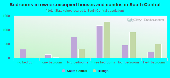 Bedrooms in owner-occupied houses and condos in South Central