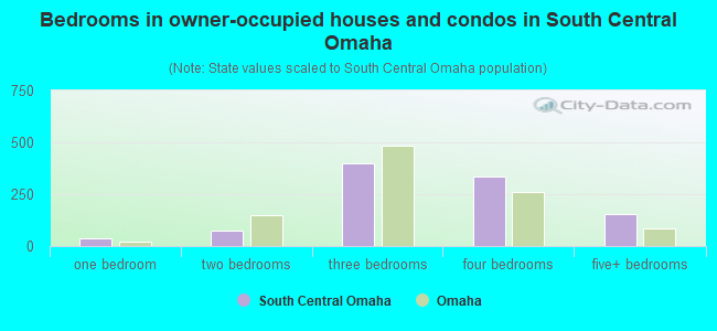 Bedrooms in owner-occupied houses and condos in South Central Omaha