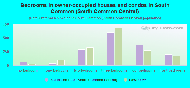 Bedrooms in owner-occupied houses and condos in South Common (South Common Central)