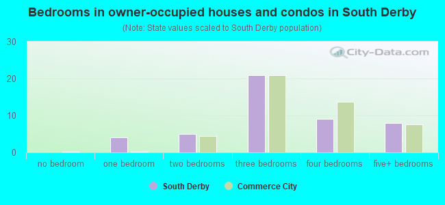 Bedrooms in owner-occupied houses and condos in South Derby