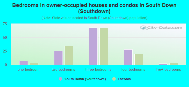 Bedrooms in owner-occupied houses and condos in South Down (Southdown)