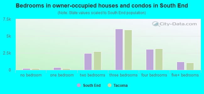 Bedrooms in owner-occupied houses and condos in South End