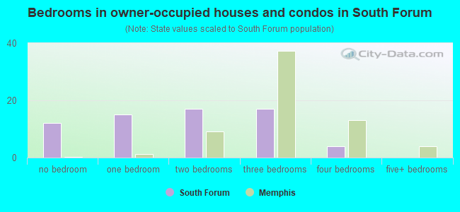 Bedrooms in owner-occupied houses and condos in South Forum