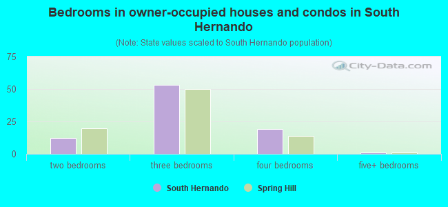 Bedrooms in owner-occupied houses and condos in South Hernando