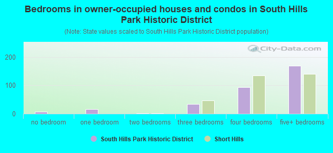 Bedrooms in owner-occupied houses and condos in South Hills Park Historic District