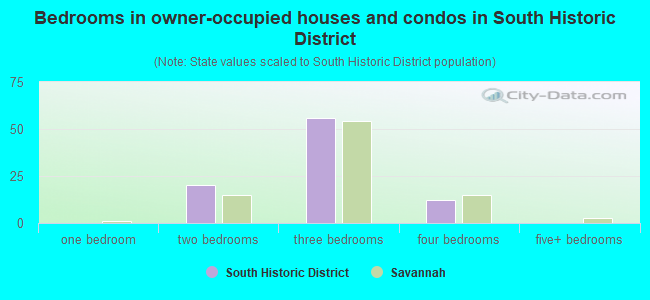Bedrooms in owner-occupied houses and condos in South Historic District
