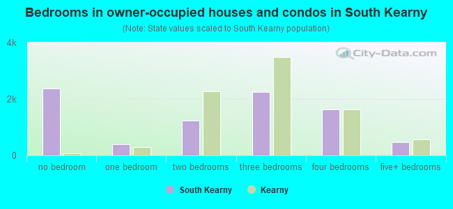 Bedrooms in owner-occupied houses and condos in South Kearny