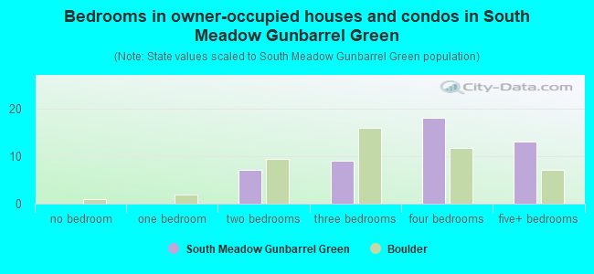 Bedrooms in owner-occupied houses and condos in South Meadow Gunbarrel Green