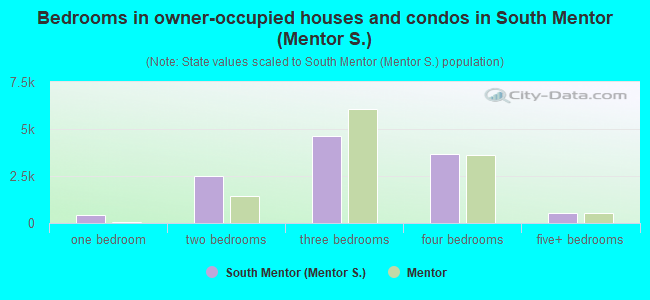 Bedrooms in owner-occupied houses and condos in South Mentor (Mentor S.)