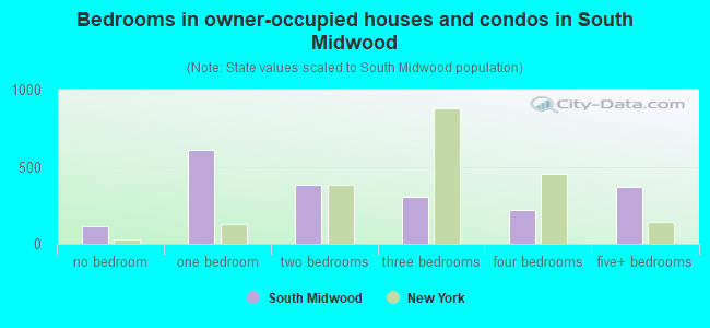 Bedrooms in owner-occupied houses and condos in South Midwood