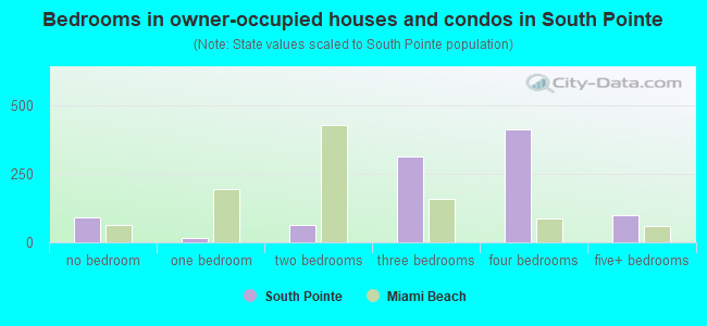Bedrooms in owner-occupied houses and condos in South Pointe