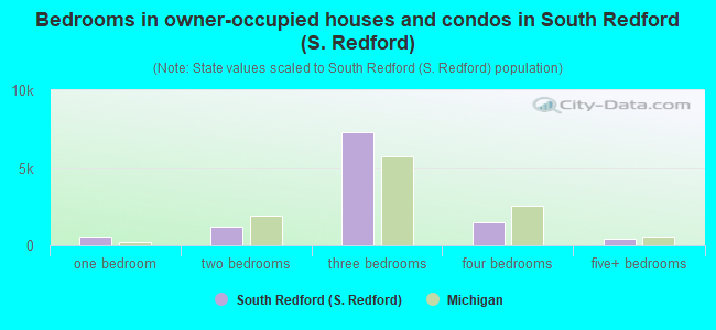 Bedrooms in owner-occupied houses and condos in South Redford (S. Redford)