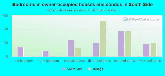Bedrooms in owner-occupied houses and condos in South Side