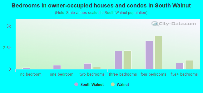 Bedrooms in owner-occupied houses and condos in South Walnut