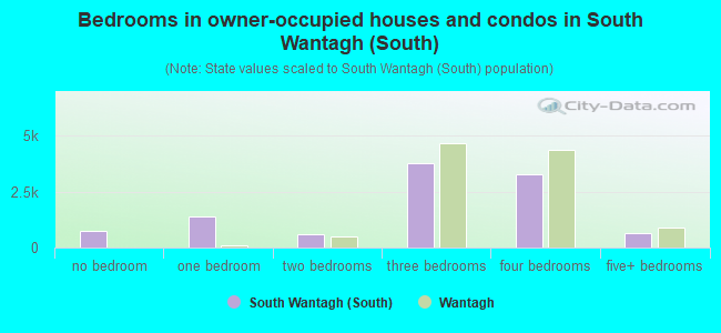 Bedrooms in owner-occupied houses and condos in South Wantagh (South)
