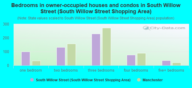 Bedrooms in owner-occupied houses and condos in South Willow Street (South Willow Street Shopping Area)