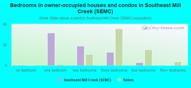 Bedrooms in owner-occupied houses and condos in Southeast Mill Creek (SEMC)