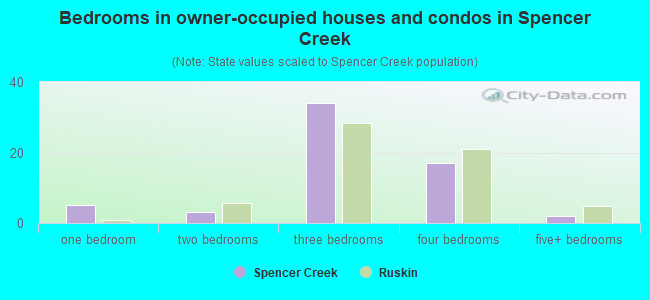 Bedrooms in owner-occupied houses and condos in Spencer Creek