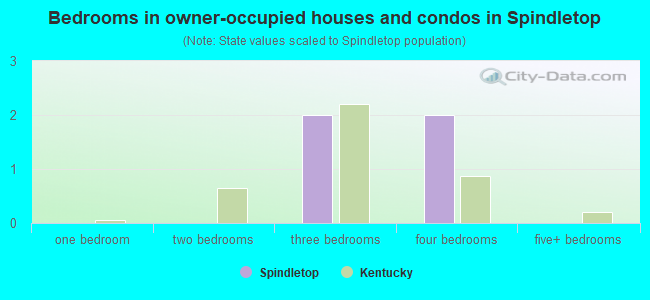Bedrooms in owner-occupied houses and condos in Spindletop