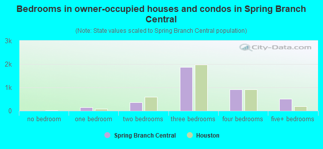 Bedrooms in owner-occupied houses and condos in Spring Branch Central