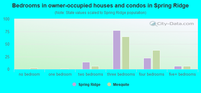 Bedrooms in owner-occupied houses and condos in Spring Ridge
