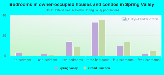 Bedrooms in owner-occupied houses and condos in Spring Valley