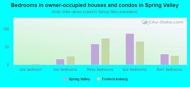 Bedrooms in owner-occupied houses and condos in Spring Valley