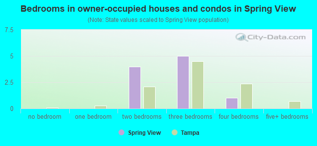Bedrooms in owner-occupied houses and condos in Spring View