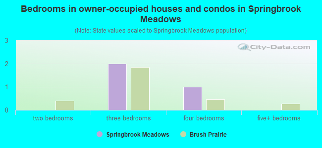 Bedrooms in owner-occupied houses and condos in Springbrook Meadows
