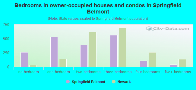 Bedrooms in owner-occupied houses and condos in Springfield Belmont