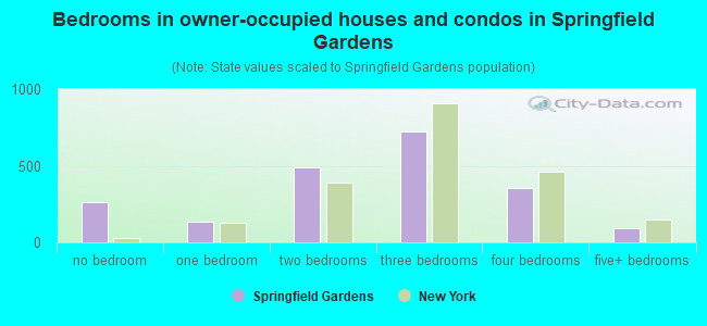Bedrooms in owner-occupied houses and condos in Springfield Gardens