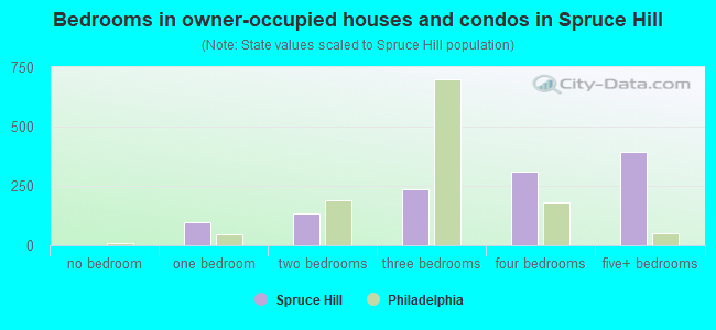 Bedrooms in owner-occupied houses and condos in Spruce Hill