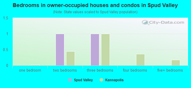 Bedrooms in owner-occupied houses and condos in Spud Valley