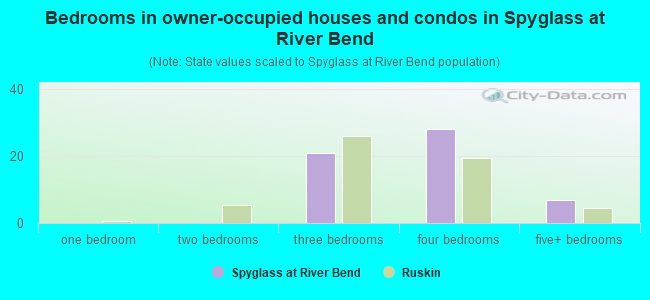 Bedrooms in owner-occupied houses and condos in Spyglass at River Bend