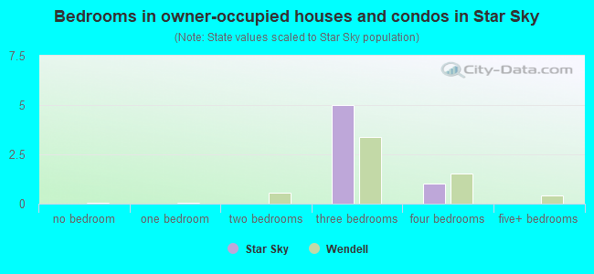 Bedrooms in owner-occupied houses and condos in Star Sky