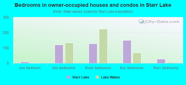 Bedrooms in owner-occupied houses and condos in Starr Lake