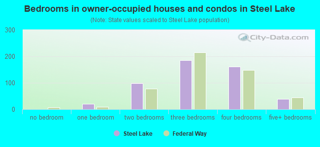 Bedrooms in owner-occupied houses and condos in Steel Lake