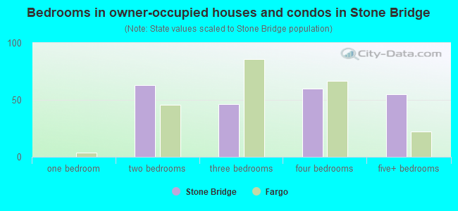 Bedrooms in owner-occupied houses and condos in Stone Bridge