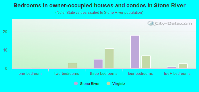 Bedrooms in owner-occupied houses and condos in Stone River