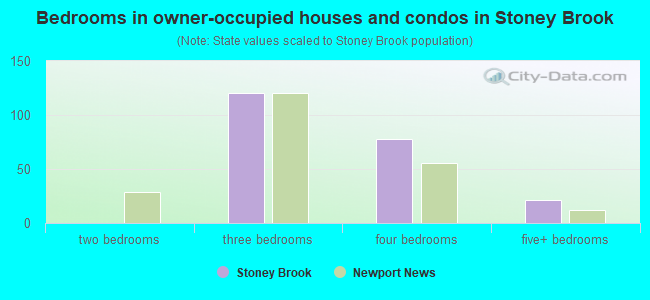 Bedrooms in owner-occupied houses and condos in Stoney Brook