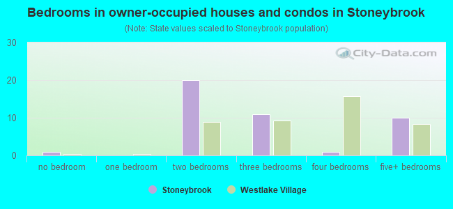 Bedrooms in owner-occupied houses and condos in Stoneybrook