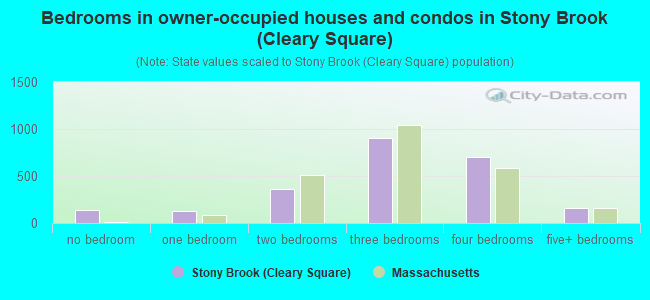 Bedrooms in owner-occupied houses and condos in Stony Brook (Cleary Square)